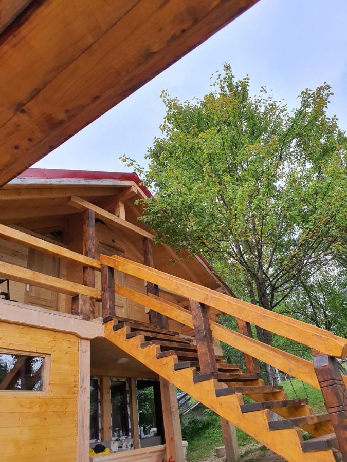 Forest Vibes Spa Cimpu lui Neag Екстер'єр фото